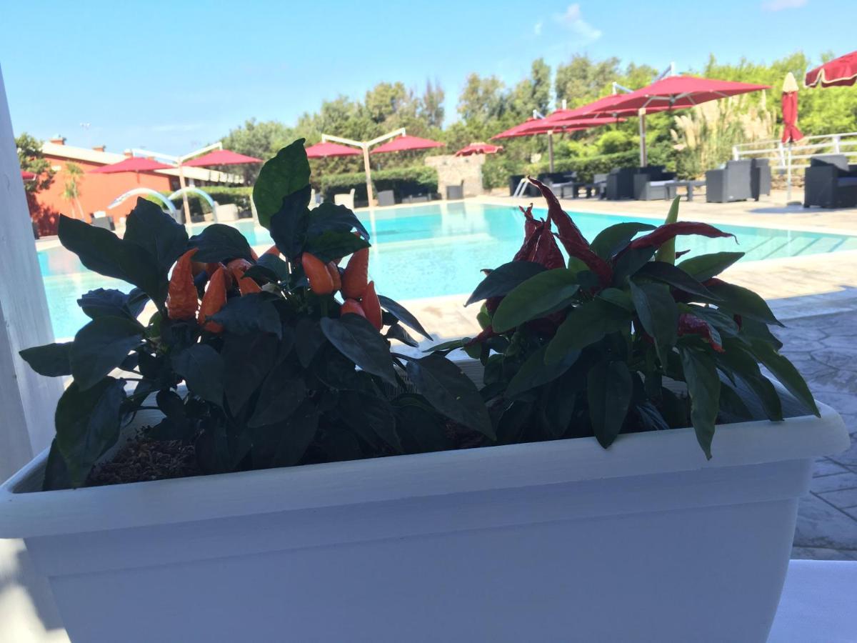 Club Esse Sporting Hotel Stintino Ngoại thất bức ảnh